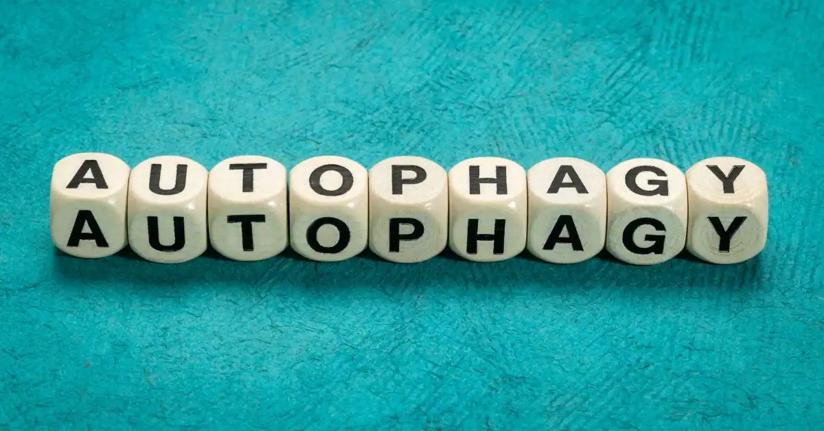 White lettered dice spelling "AUTOPHAGY" arranged in a row on a textured teal background.